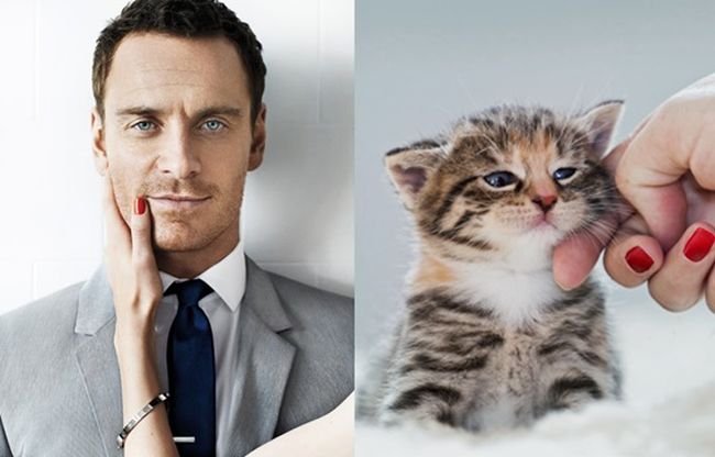 Горещи мъже vs. сладки котета