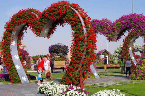 Dubai-garden