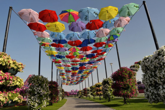 umbrellas-garden