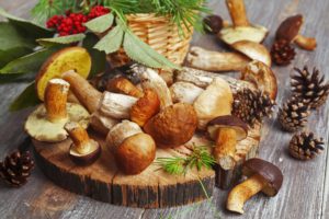 food-mushrooms-birch-white-cone-rowan-berries-red-nature-autumn-table-yum-yum-blur-bokeh-wallpaper