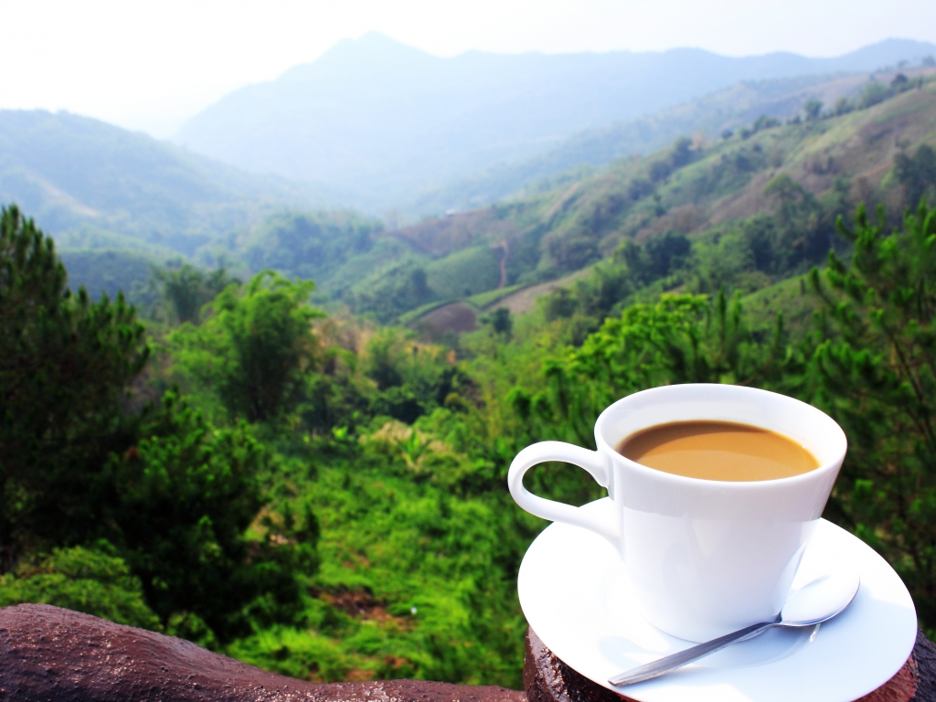 „Ние сме силни толкова, колкото сме единни, и слаби толкова, колкото сме разединени.“ Честит празник!