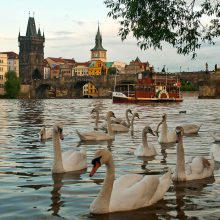 Ahoj, Praha! или Един различен пражки пътеводител