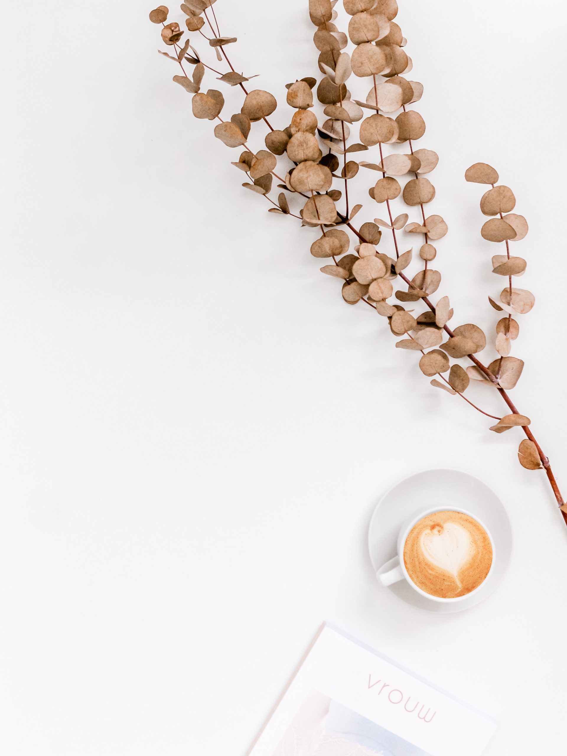 „Тайната е да бъдете това, което искате да привлечете в живота си.“