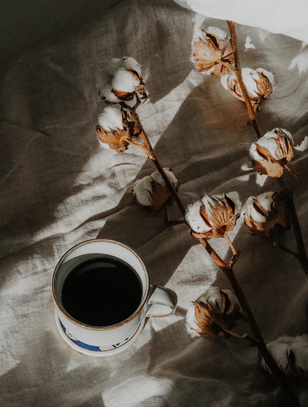 „Мирът е като памук – така нежен и така труден за култивиране, ала така ценен за всеки.“