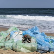 Ritual Gatherings организира мащабно почистване на плаж Камчия
