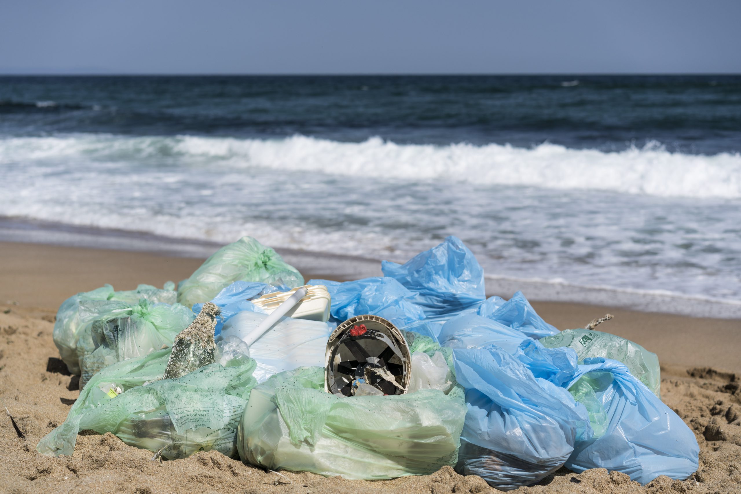 Ritual Gatherings организира мащабно почистване на плаж Камчия
