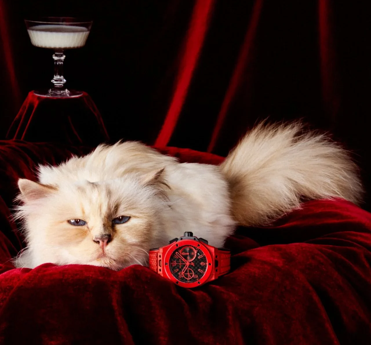 Hublot избра котката на Карл Лагерфелд за кампания