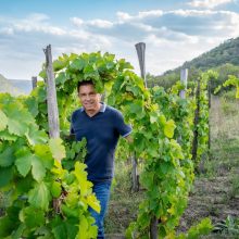 Clos Biblioteque – да затвориш история в бутилка