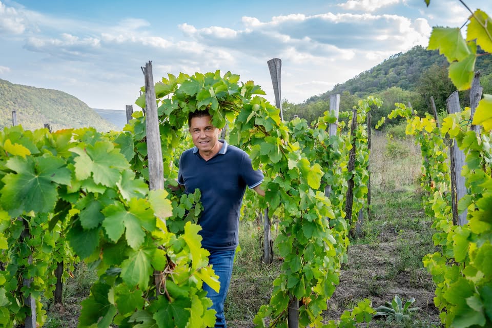Clos Biblioteque – да затвориш история в бутилка