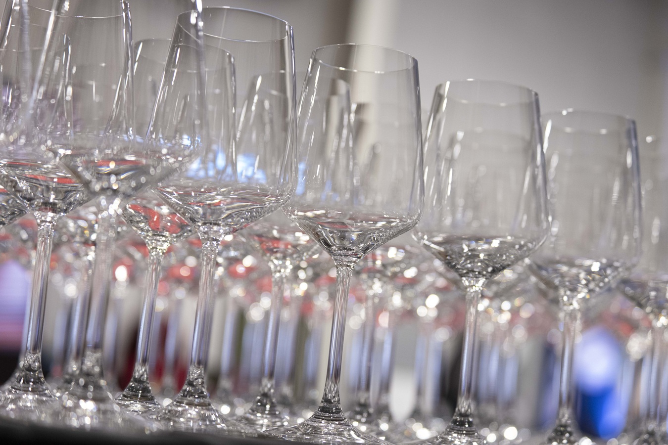 DiVino.Taste 2025 и вкусът, който остава