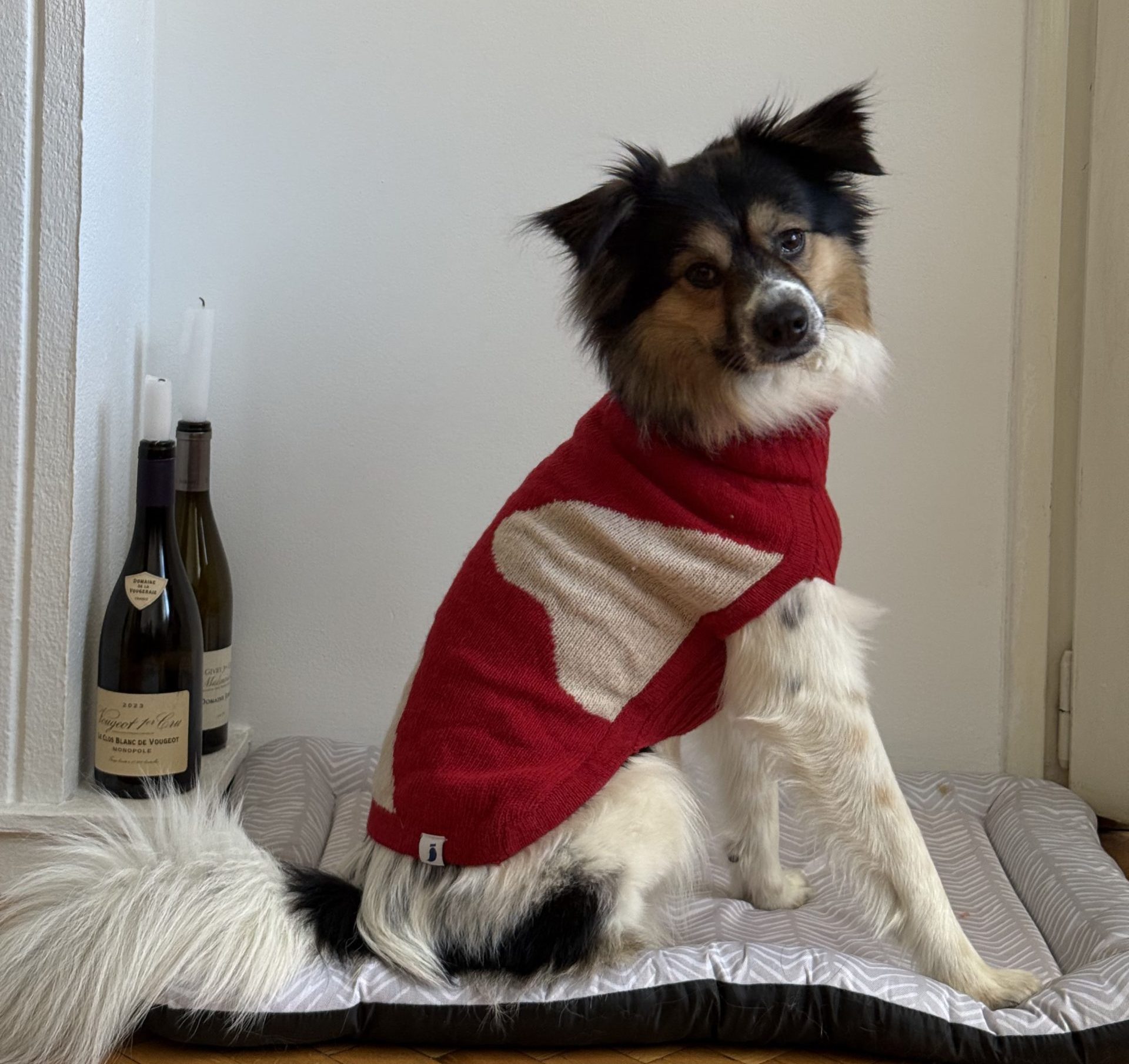 Седем Селфита Стил: Банкси